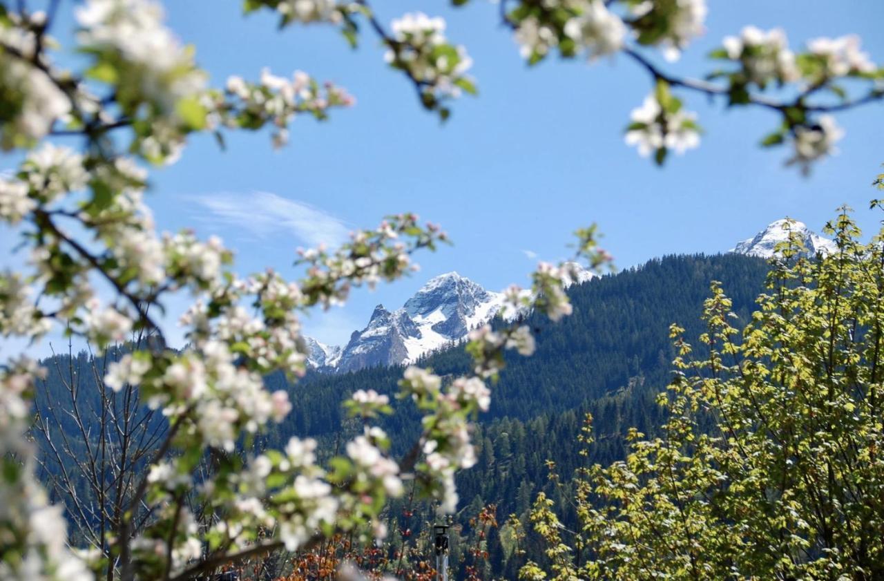 Landhaus Bergner Alm Fusch an der Glocknerstraße Екстериор снимка