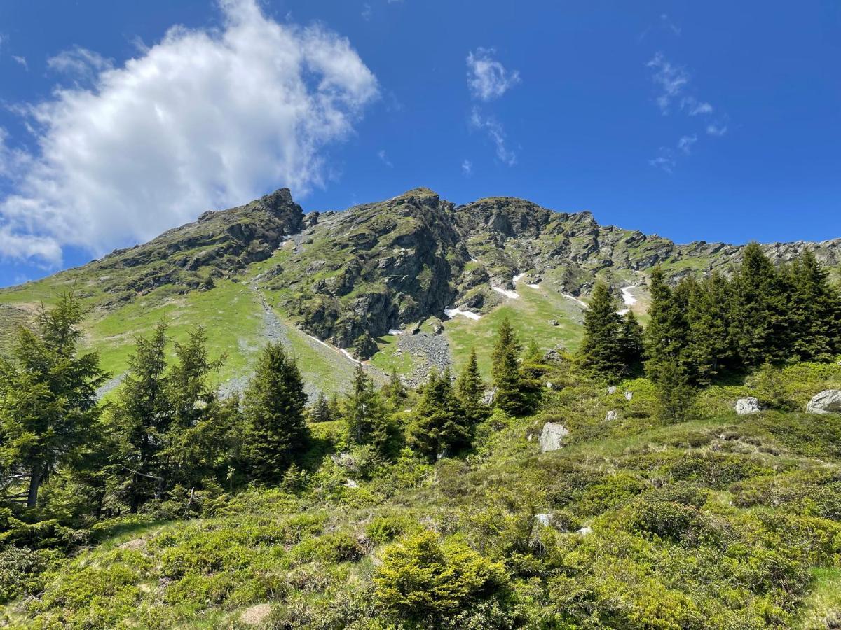 Landhaus Bergner Alm Fusch an der Glocknerstraße Екстериор снимка