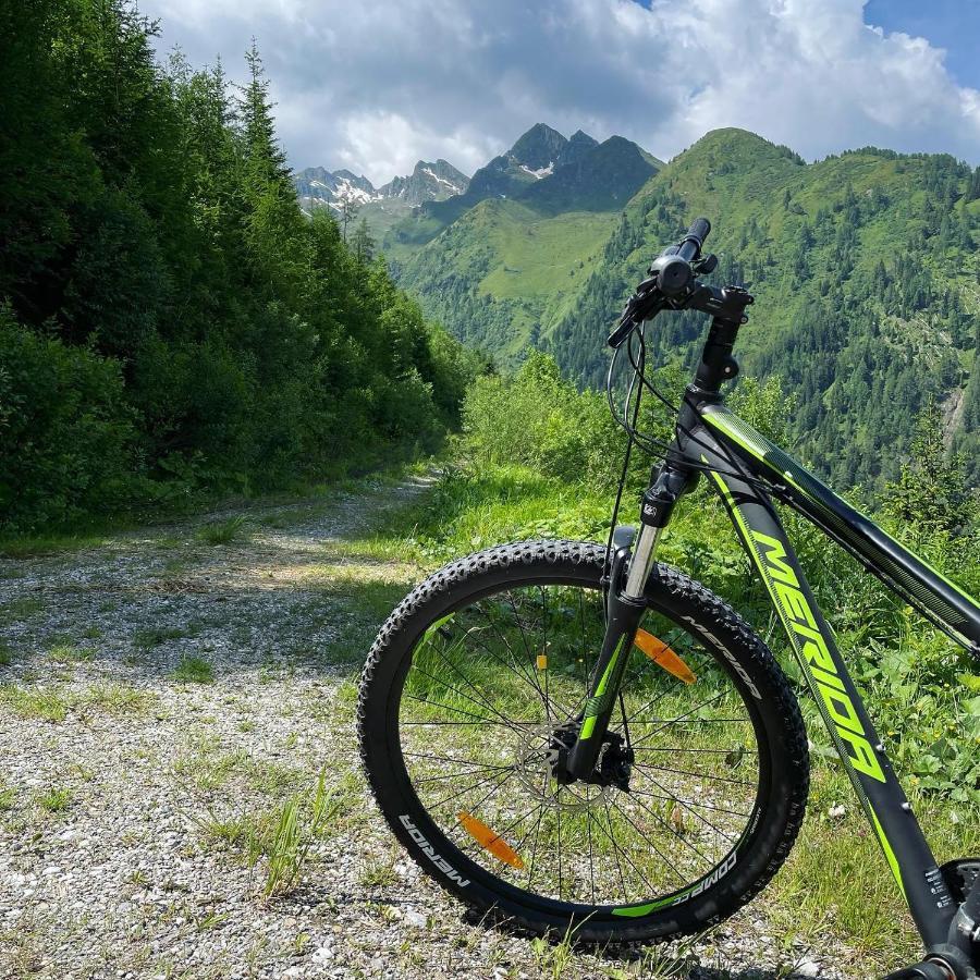 Landhaus Bergner Alm Fusch an der Glocknerstraße Екстериор снимка